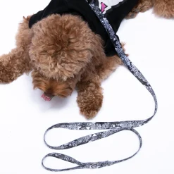 Ripndip Stocking Stuffers|Pet Supplies<Dark Twisted Fantasy Pet Leash (Black/White)