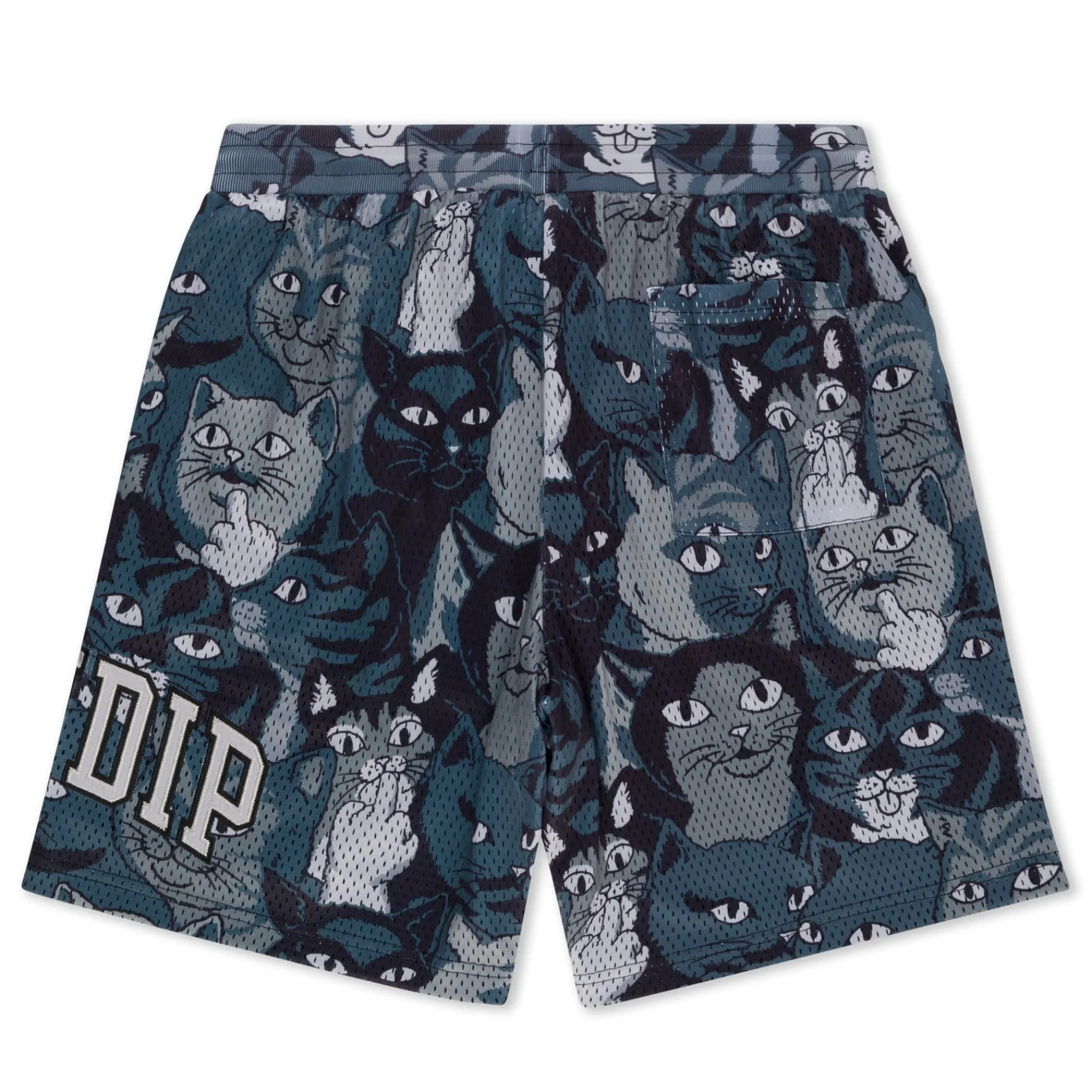 Ripndip Shorts<Family Tree Basketball Shorts (Black)