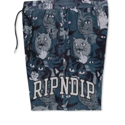 Ripndip Shorts<Family Tree Basketball Shorts (Black)