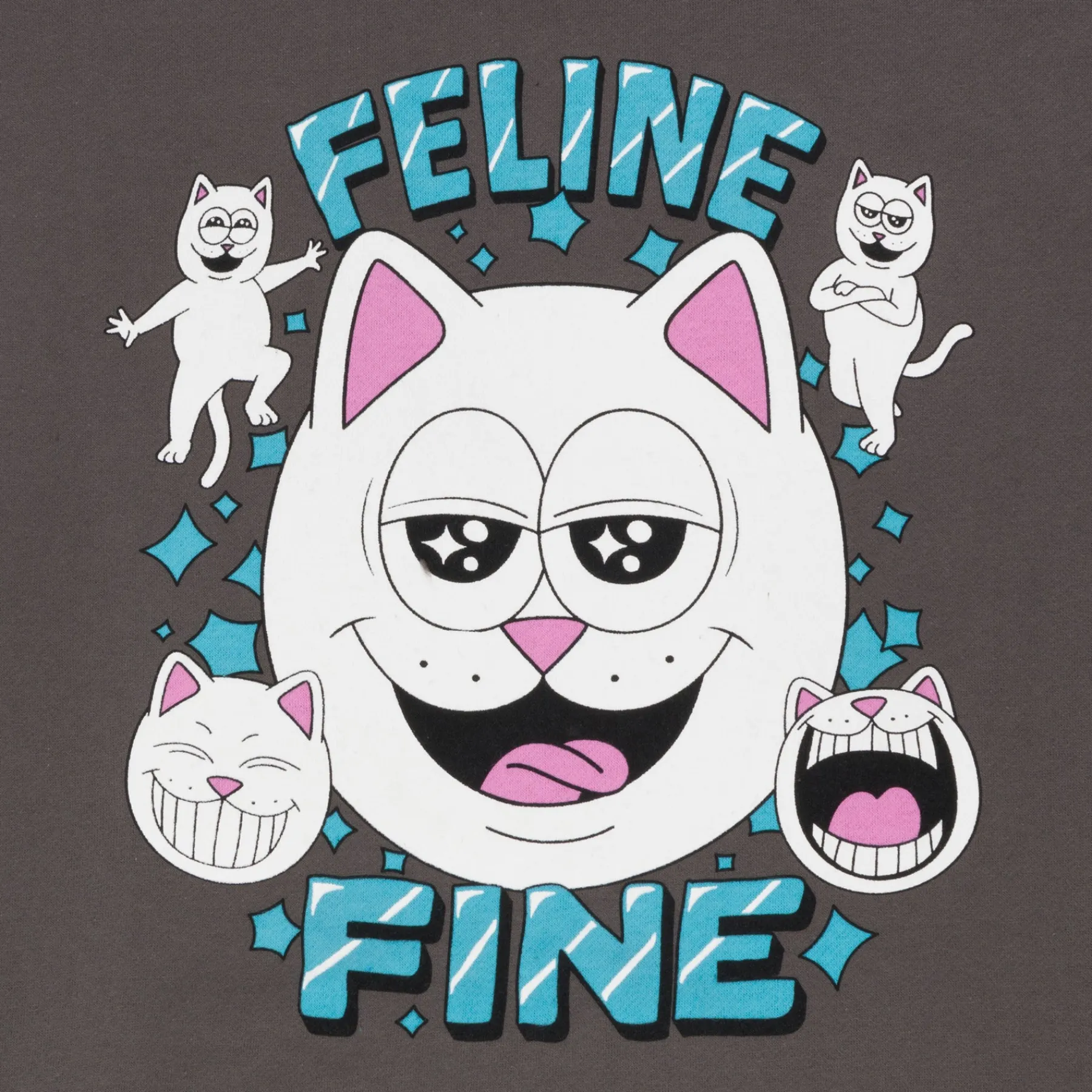 Ripndip Hoodies / Crewnecks<Feline Fine Hoodie (Charcoal)