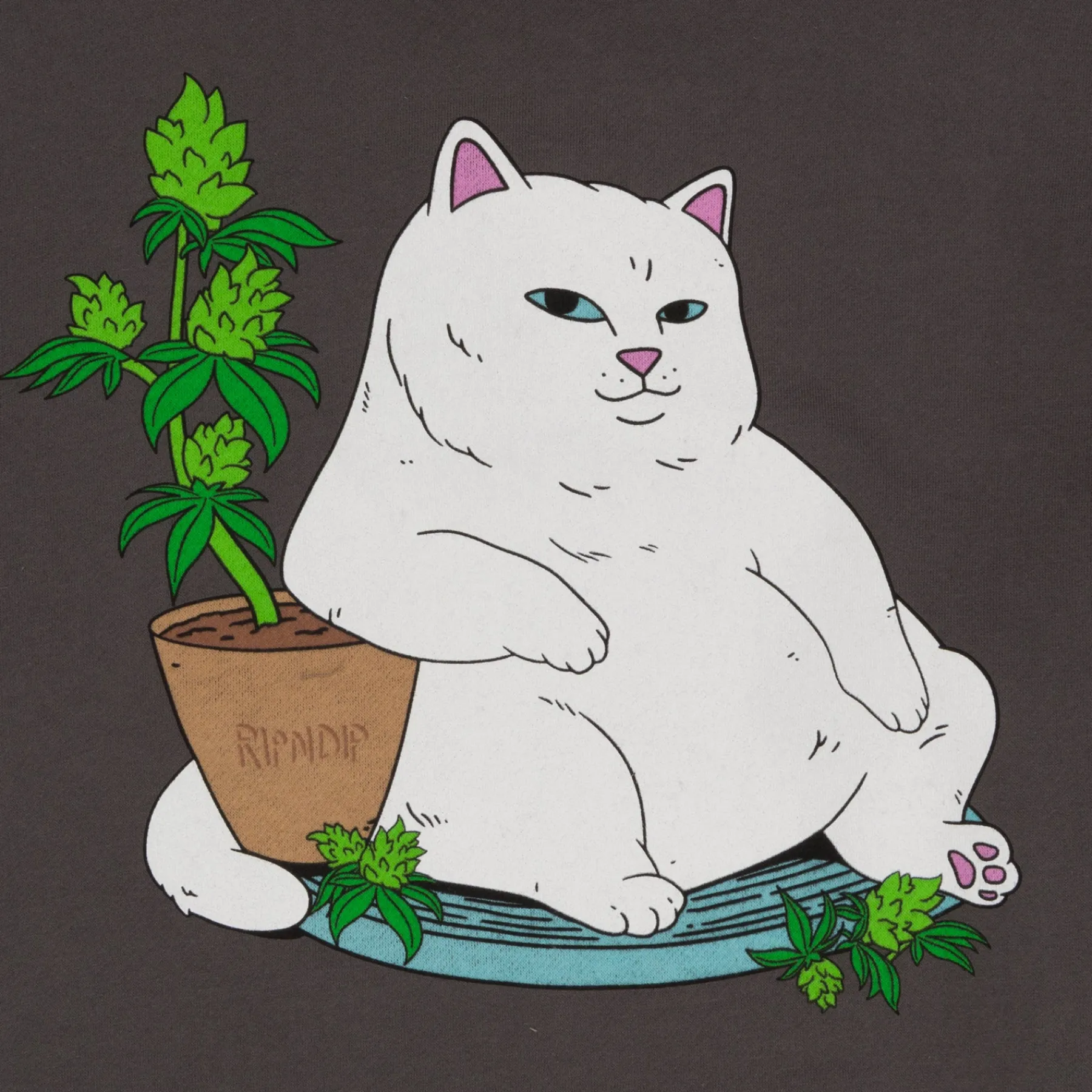 Ripndip Hoodies / Crewnecks<Flower Boy Hoodie (Charcoal)