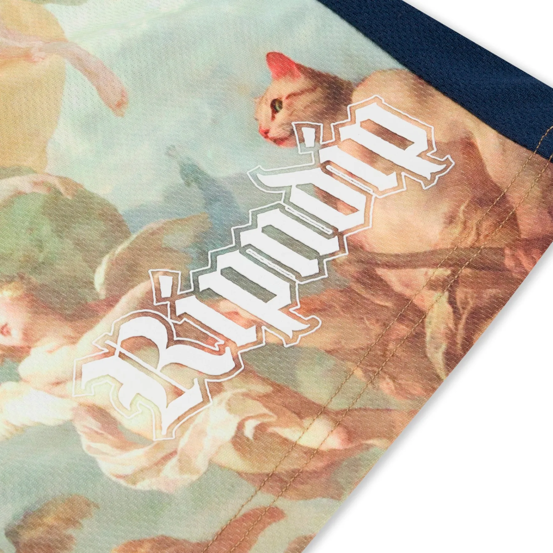 Ripndip Shorts<Heavens Waiting Soccer Shorts (Navy Multi)