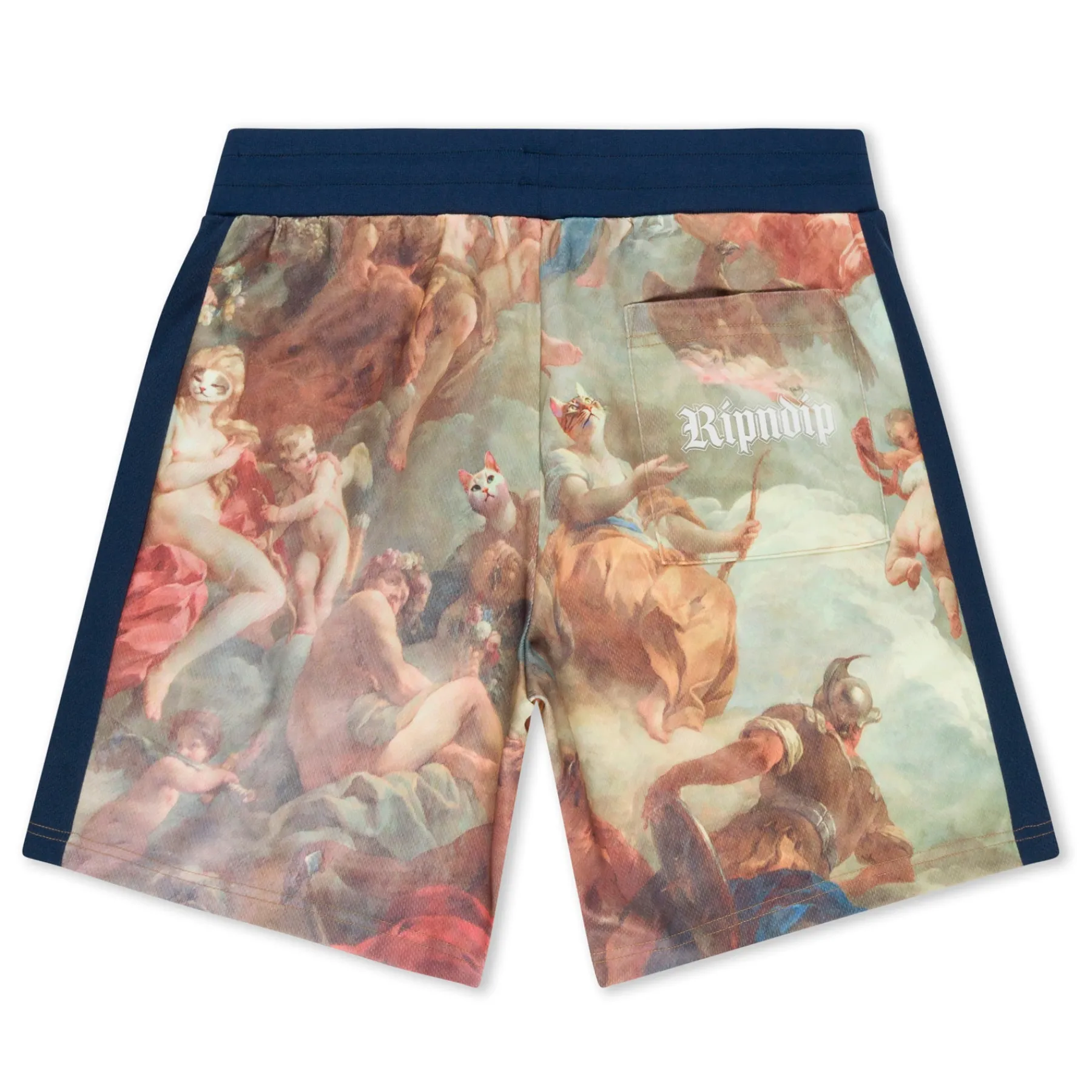 Ripndip Shorts<Heavens Waiting Soccer Shorts (Navy Multi)