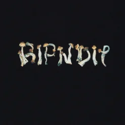 Ripndip Short Sleeve Tees|Stocking Stuffers<Is This Real Life Tee (Black)