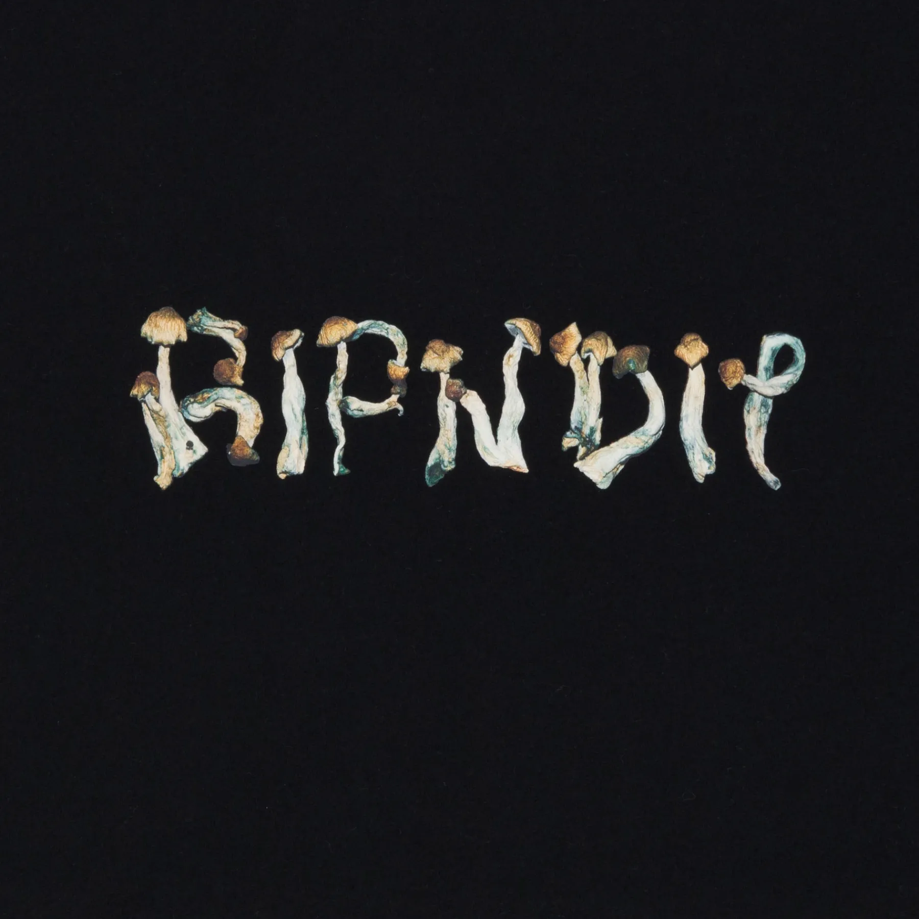 Ripndip Short Sleeve Tees|Stocking Stuffers<Is This Real Life Tee (Black)