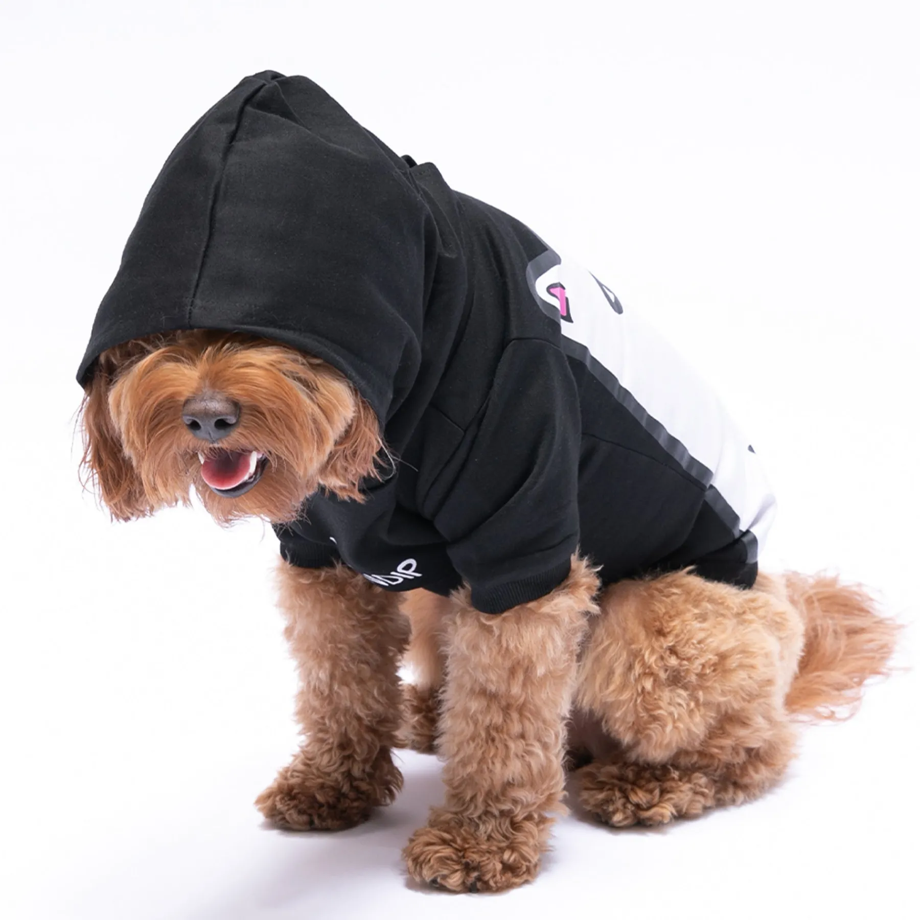 Ripndip Hoodies / Crewnecks|Stocking Stuffers<Lord Nermal Pet Hoodie (Black)