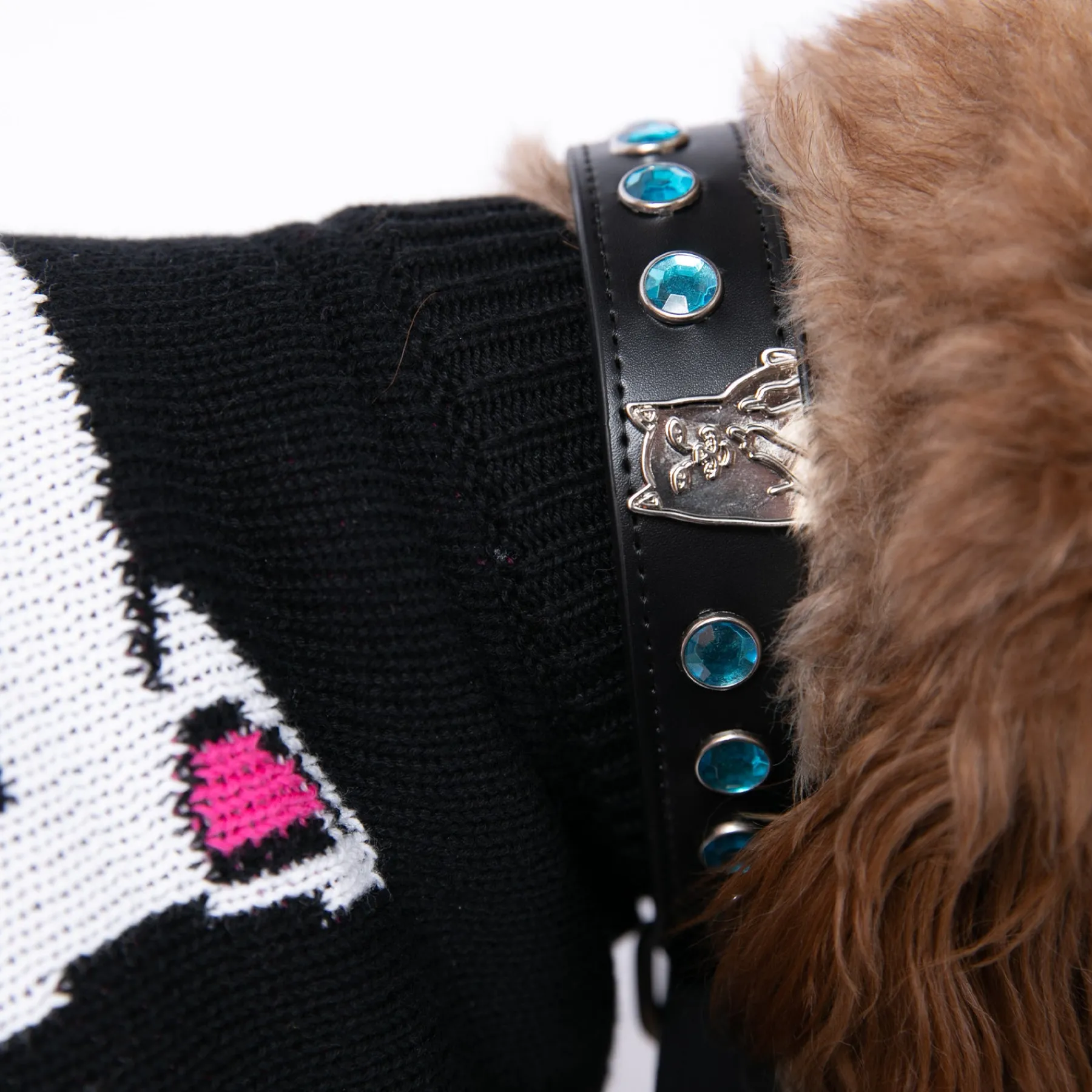 Ripndip Stocking Stuffers|Pet Supplies<Lord Nermal Studded Pet Collar (Black)