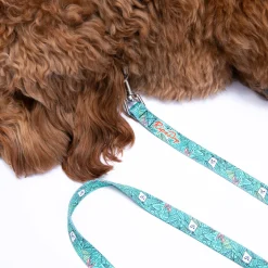Ripndip Stocking Stuffers|Pet Supplies<Nermal Leaf Pet Leash
