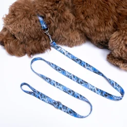 Ripndip Stocking Stuffers|Pet Supplies<Nikola Pet Leash