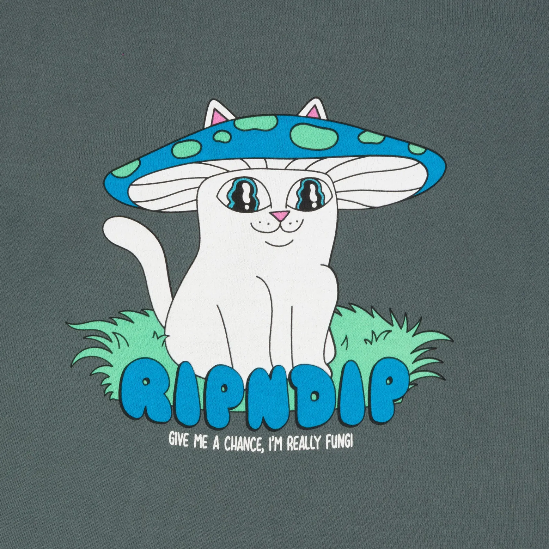 Ripndip Hoodies / Crewnecks|Womens<Shroom Nerm Cropped Hoodie (Charcoal)